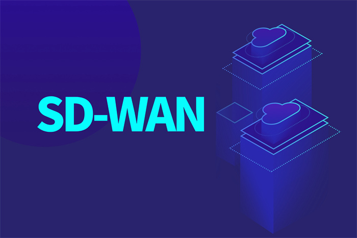 如何选择SD-WAN跨境组网服务商？
