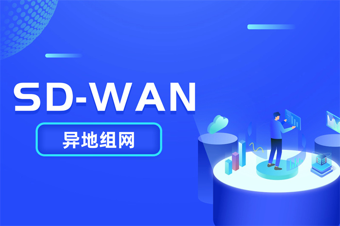 企业异地组网方案怎么选