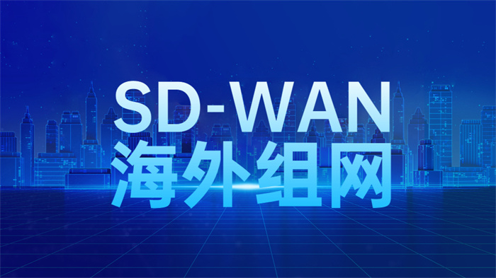 SD-WAN海外组网方案