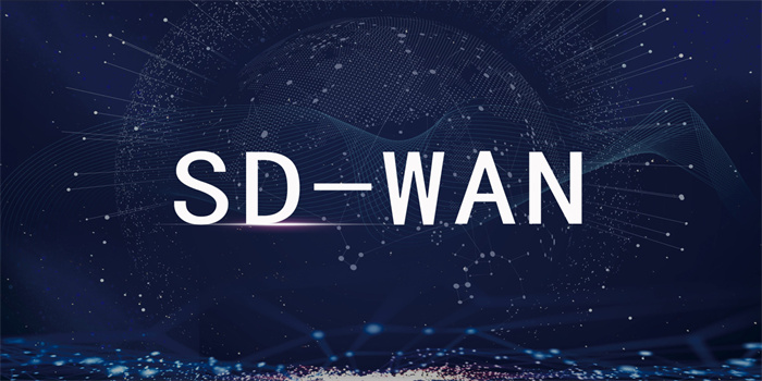 SD-WAN组网所需的设备