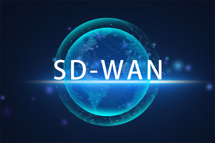 国内sdwan解决方案服务商