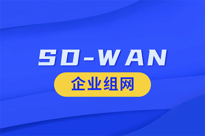 SDWAN组网成本