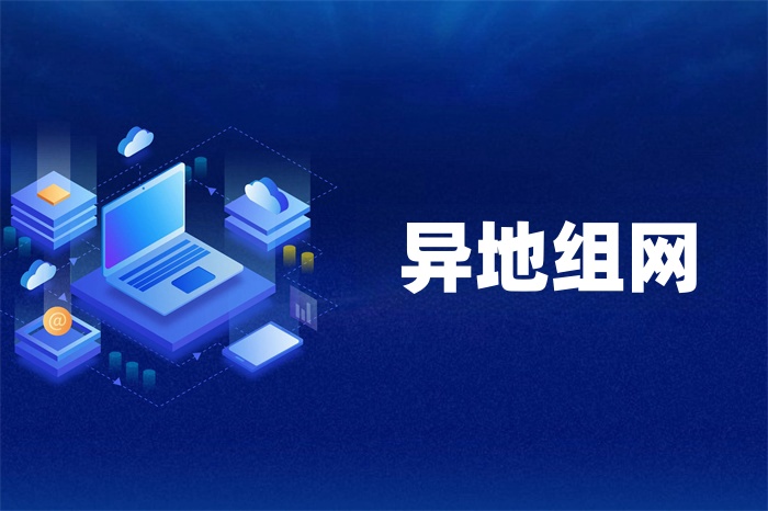 企业异地多个分公司如何建立组网？