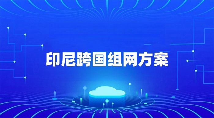 印尼分公司连回国内网络的解决方案