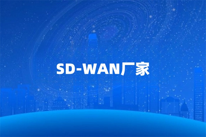 sdwan厂家
