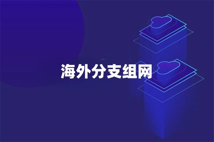 海外分支组网