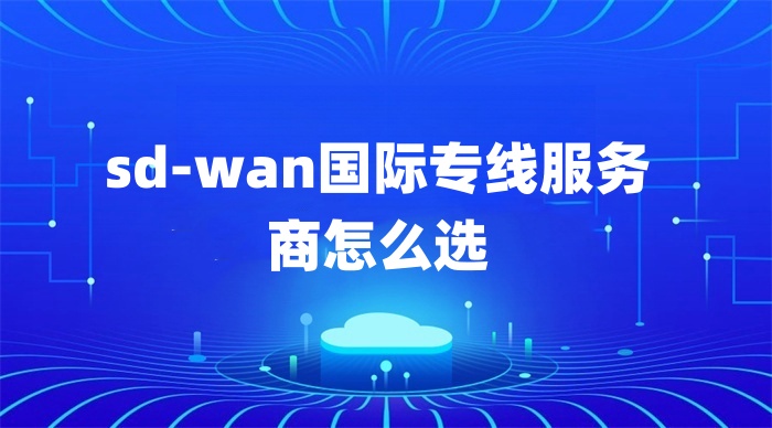 sd-wan国际专线服务商怎么选