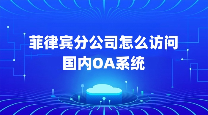 菲律宾分公司怎么访问 国内OA系统