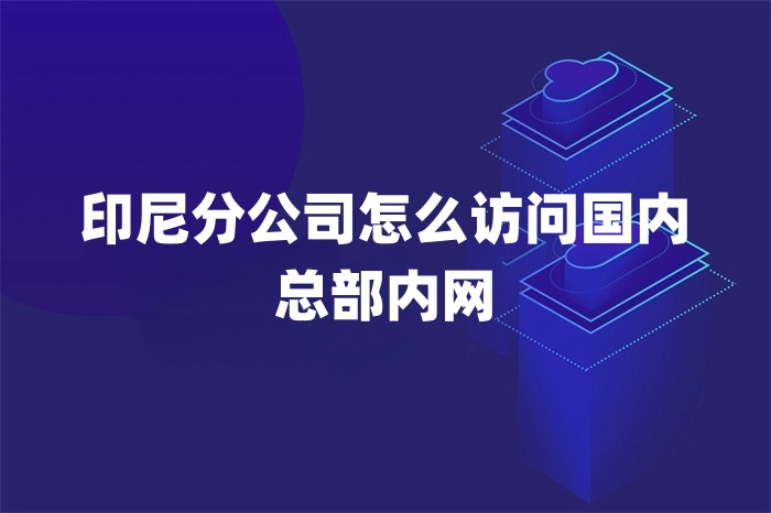 印尼分公司怎么访问国内总部内网