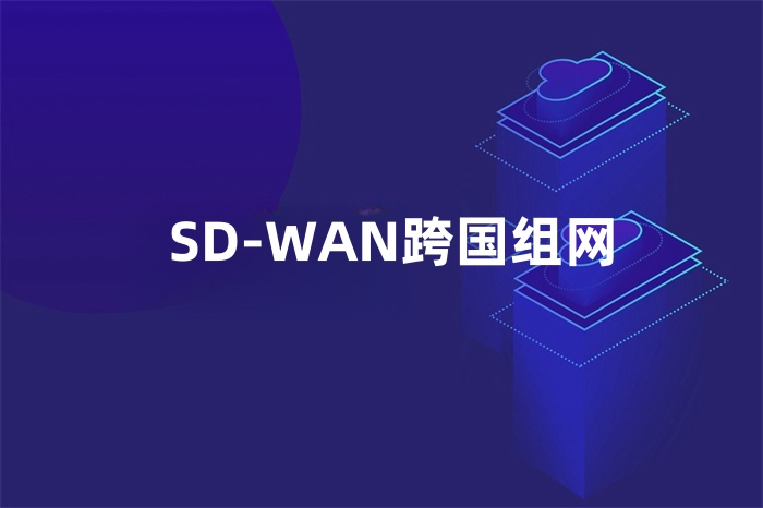 SD-WAN跨国组网