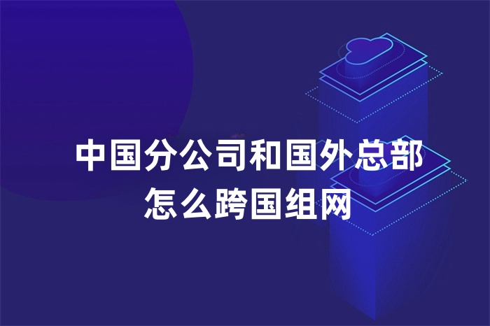 中国分公司和国外总部 怎么跨国组网
