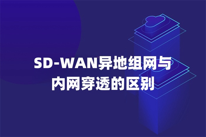 SD-WAN异地组网与内网穿透的区别