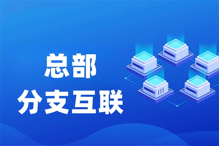 SD-WAN能不能实现异地组网