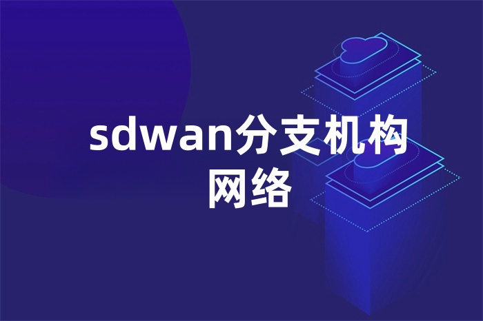 sdwan分支机构网络