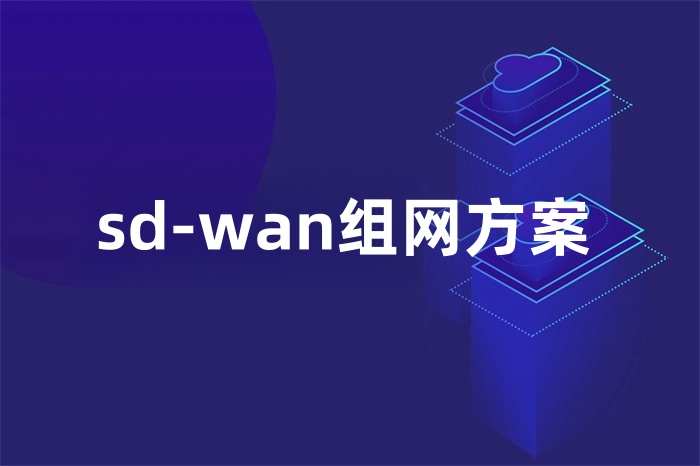 sd-wan组网方案