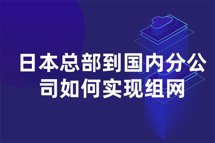 日本总部到国内分公司如何实现组网