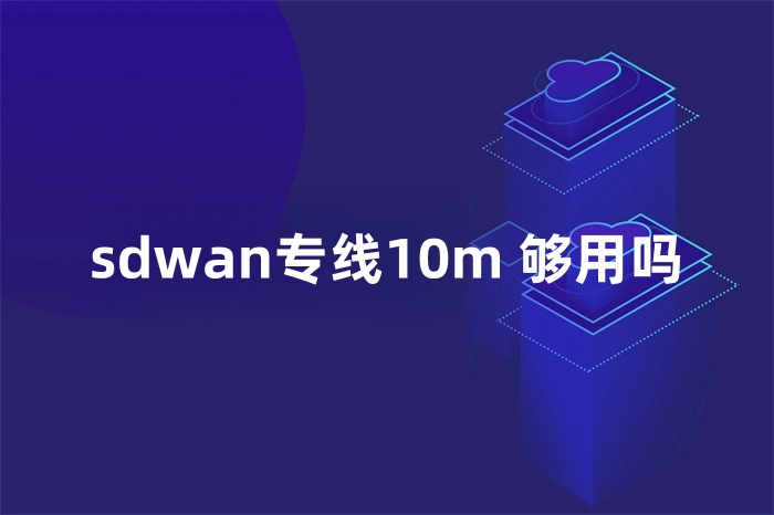 sdwan专线10m 够用吗