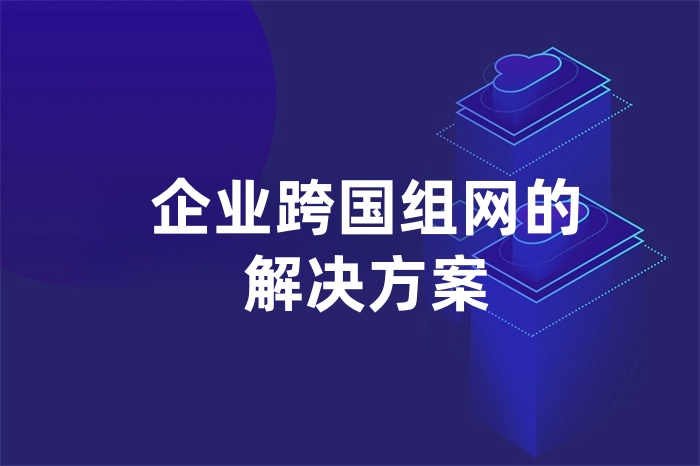 企业跨国组网的解决方案