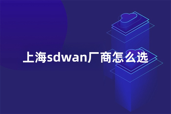 上海sdwan厂商怎么选