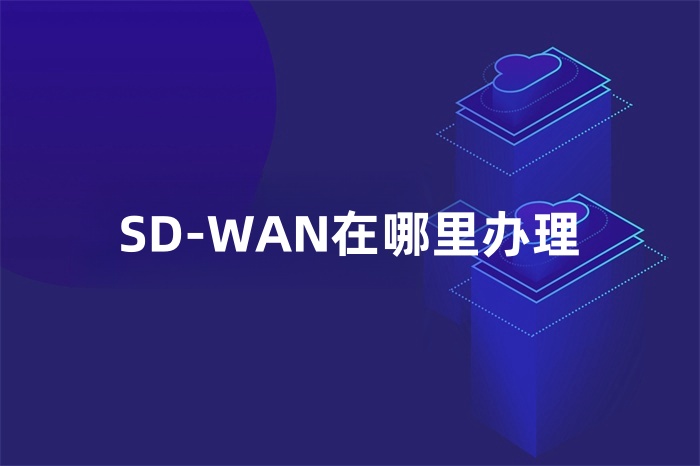 SD-WAN在哪里办理