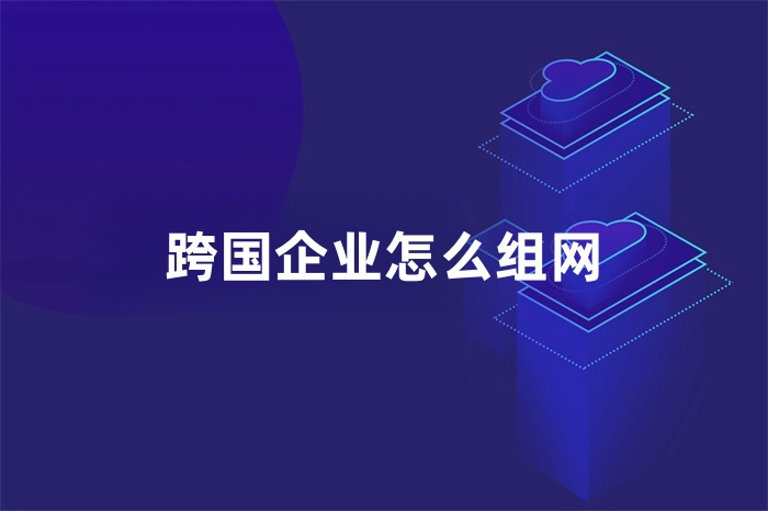 跨国企业怎么组网