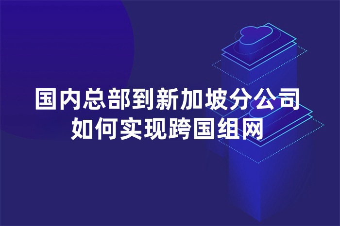 国内总部到新加坡分公司如何实现跨国组网