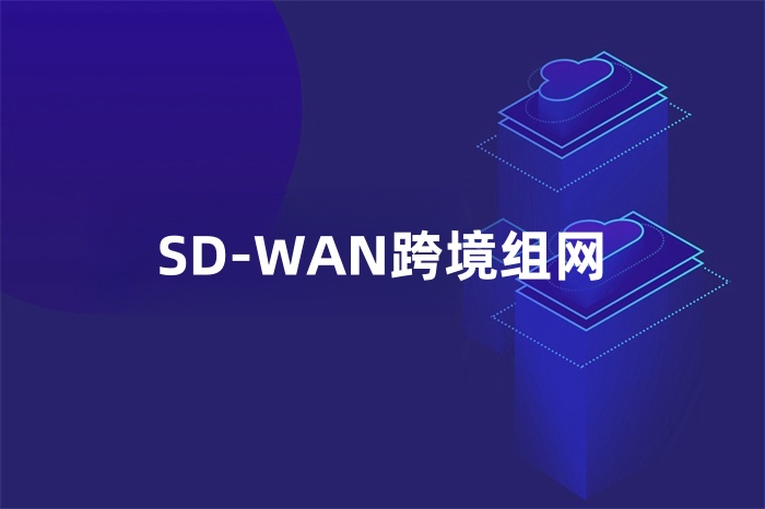 SD-WAN跨境组网