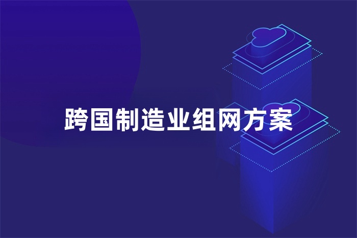 跨国制造业组网方案