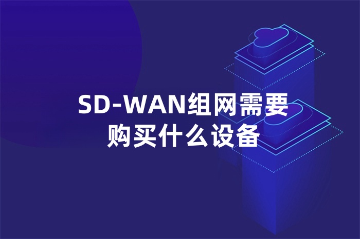 SD-WAN组网需要购买什么设备