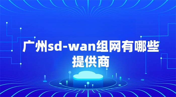 广州sd-wan组网有哪些提供商