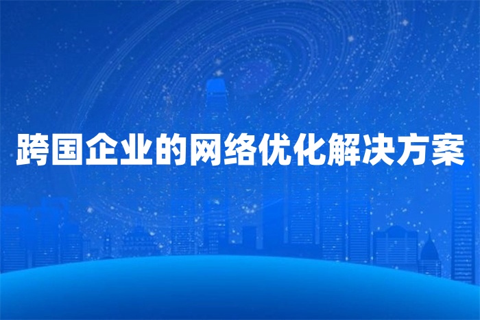 跨国企业的网络优化解决方案