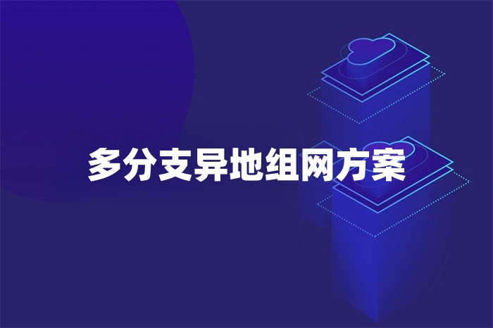 多分支异地组网方案
