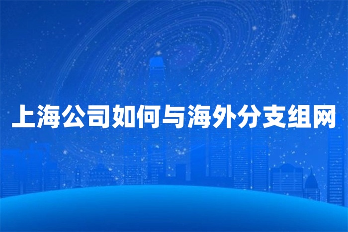 上海公司如何与海外分支组网