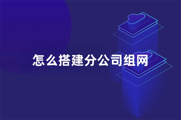怎么搭建分公司组网