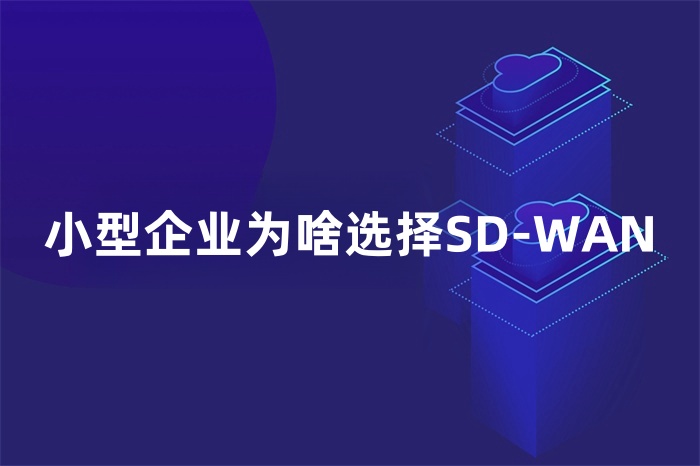 小型企业为啥选择SD-WAN