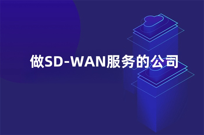做SD-WAN服务的公司
