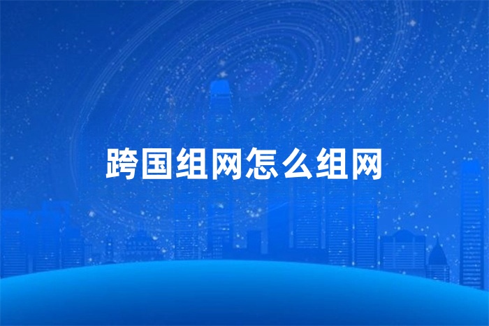 跨国组网怎么组网