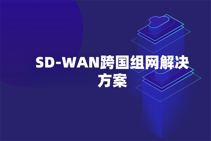 SD-WAN跨国组网解决方案