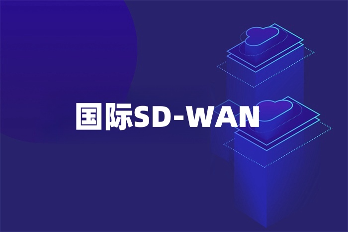 国际SD-WAN