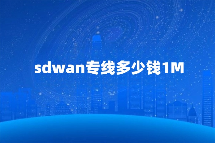 sdwan专线多少钱1M