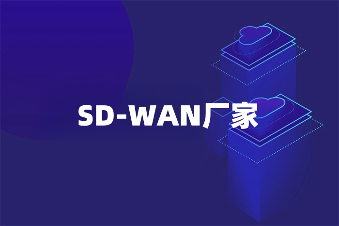 SD-WAN厂家